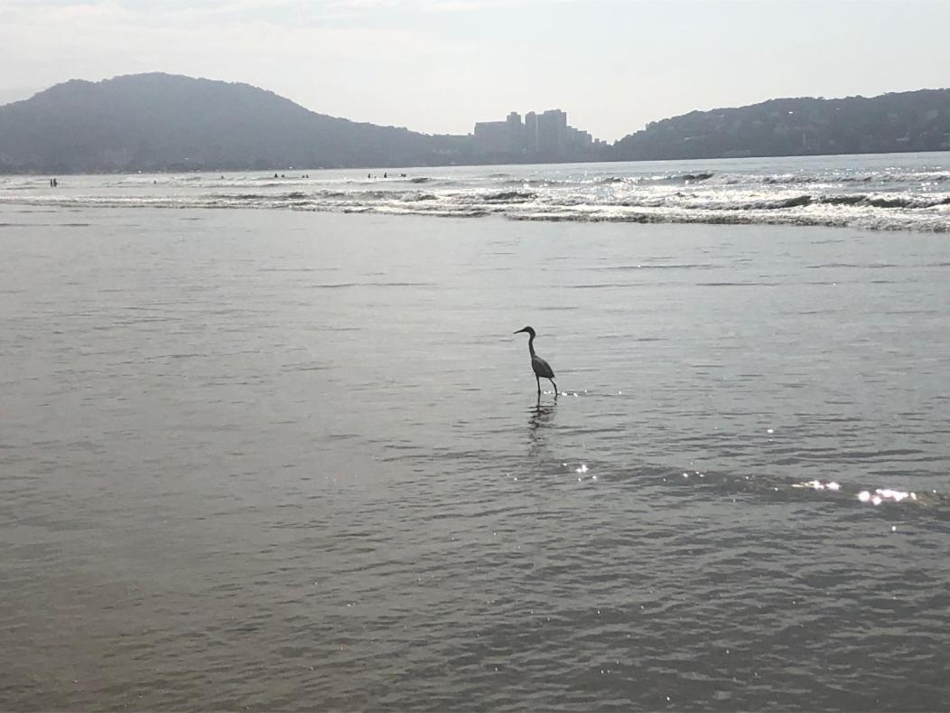 3 Dormitorios No Guaruja, Proximo Ao Aquario! Sinta-Se Em Casa! Eksteriør bilde